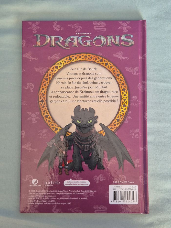 Dragons - La Naissance d'une Amitié 🐲🧒 - photo numéro 2