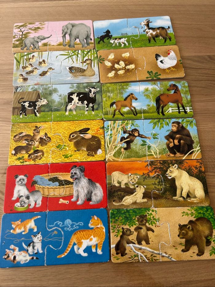 Jeu de société - photo numéro 2