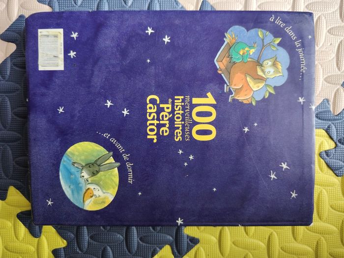 Livre d'histoire - photo numéro 2