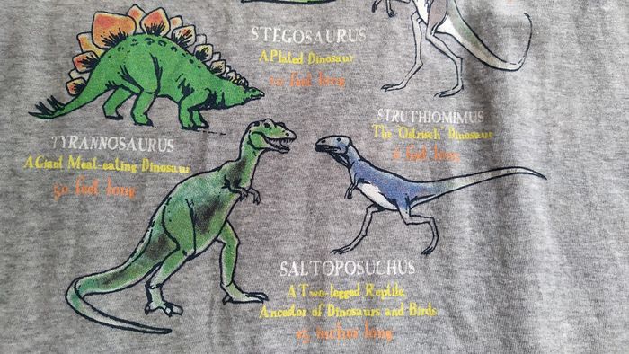 Tee-shirt neuf dinosaures 12 ans - photo numéro 5