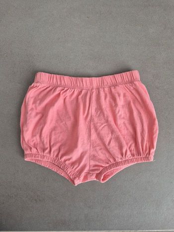 Short rose 18 mois