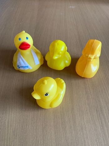 4 canards jouets de bain