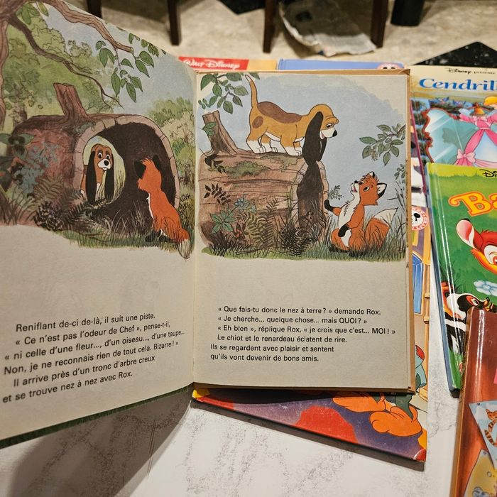 lot de livres Disney - photo numéro 6