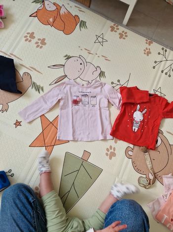 Lot tee shirt manches longues+pantacourt