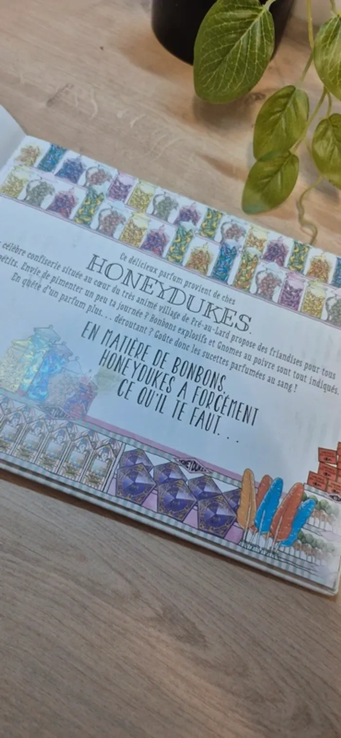 Livre harry potter honeydukes - photo numéro 4