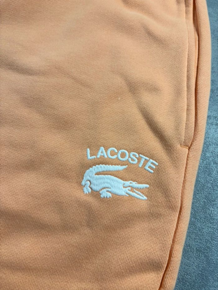 Ensemble Lacoste Corail/Abricot Taille XXL Neuf avec étiquette - photo numéro 11