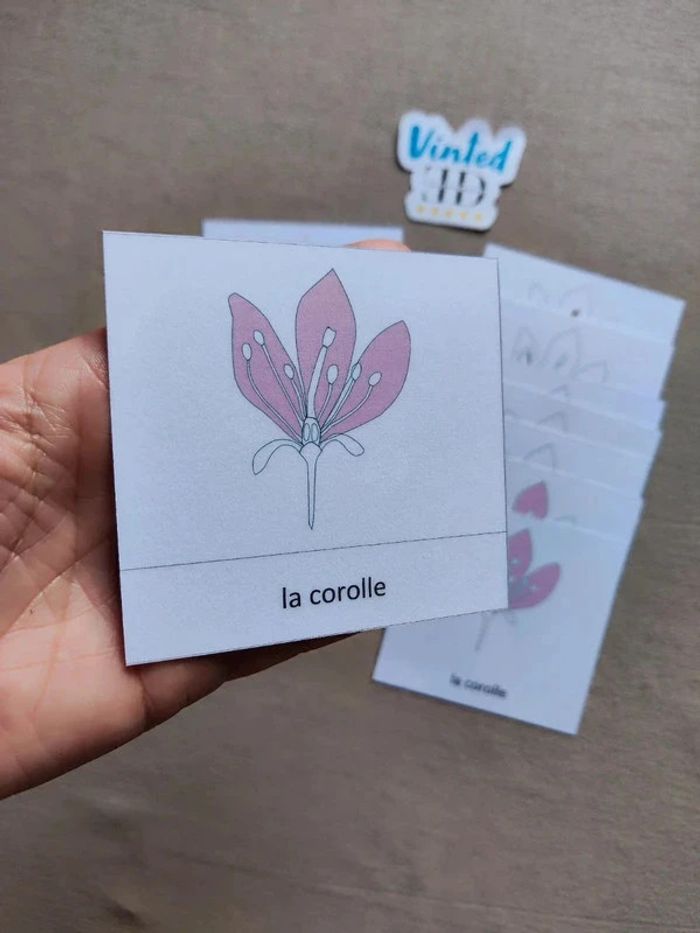 Cartes de nomenclature de la fleur - photo numéro 2