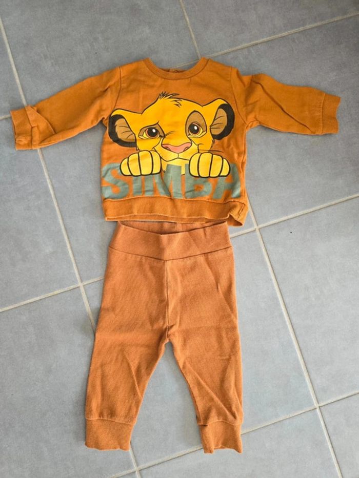 Ensemble roi lion