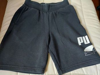 Short Puma