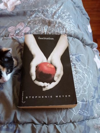 Grand roman  de Stephenie Meyer