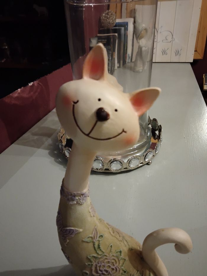 Chat dentelle fleurs parme