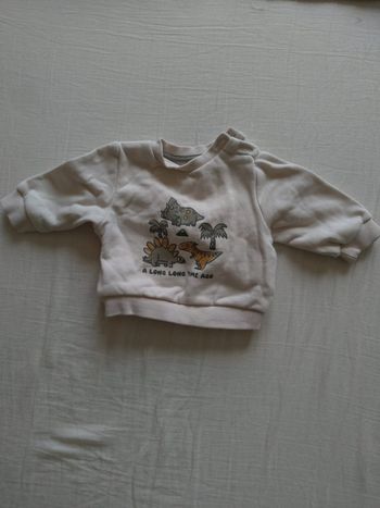 Petit pull