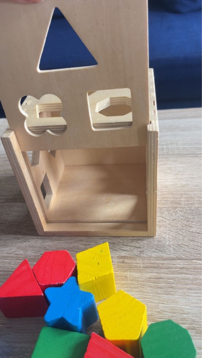 Jeux à formes éducative - photo numéro 4