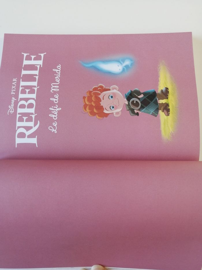 livre disney - photo numéro 5