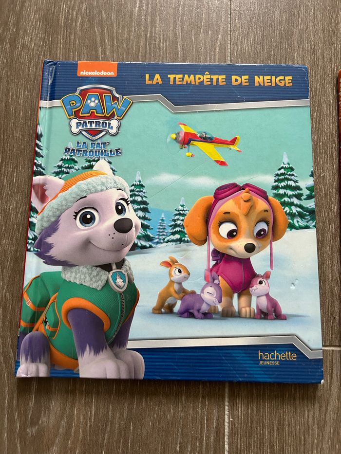 Lot 2 livres paw patrol - photo numéro 2