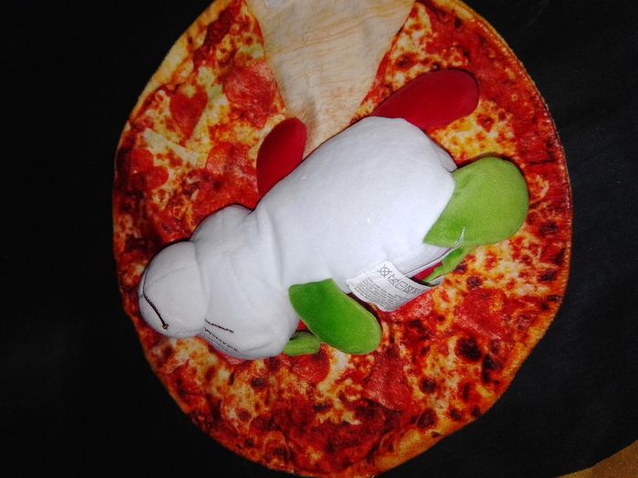 Chien pizza - photo numéro 3