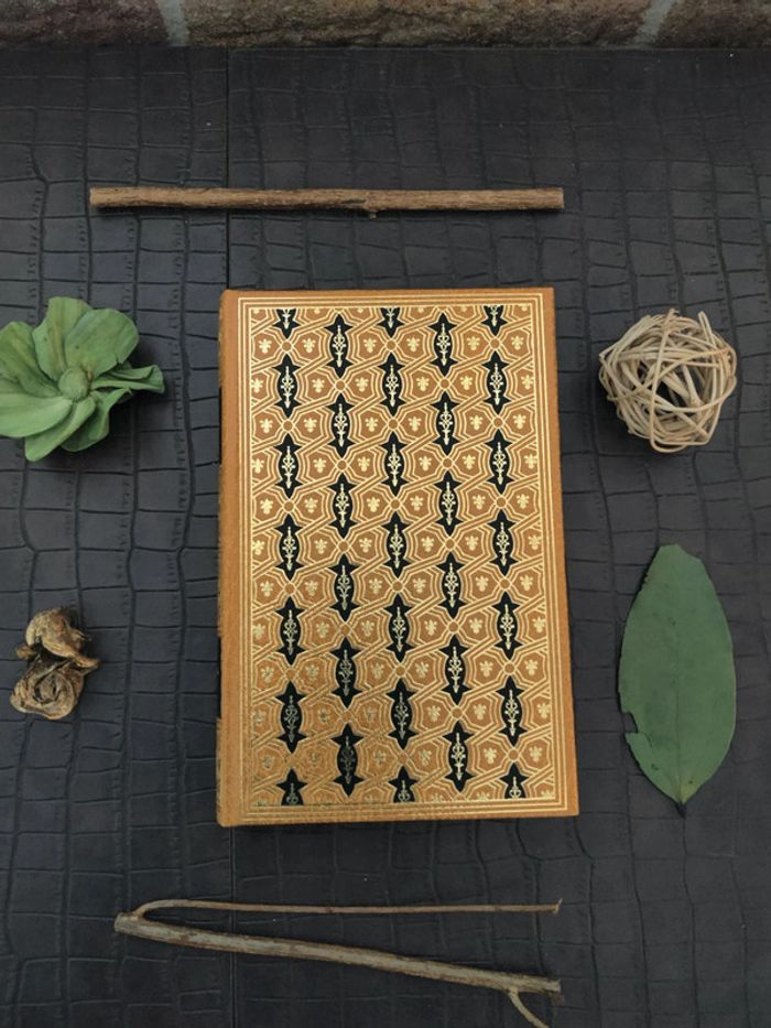 Emilie Zola - Lot de 38 livres / Éditions Famot 1979 - photo numéro 2