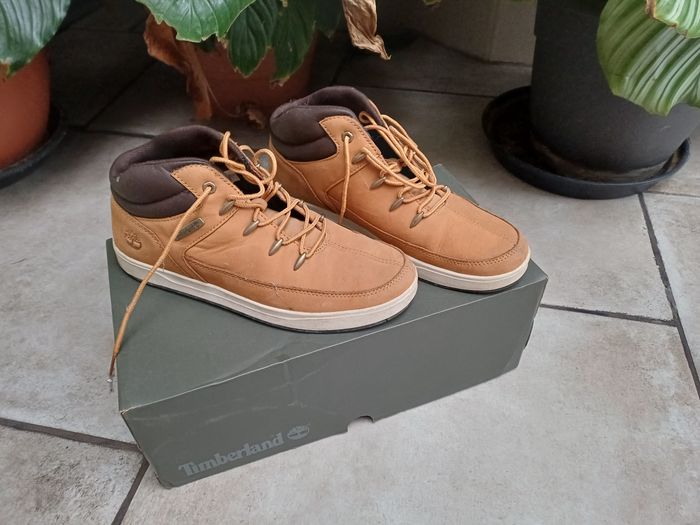 Chaussures Timberland