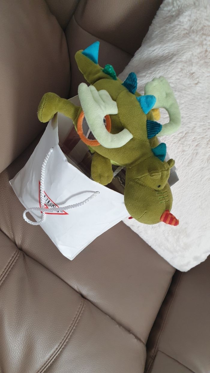 Dragon lilliputiens - photo numéro 5