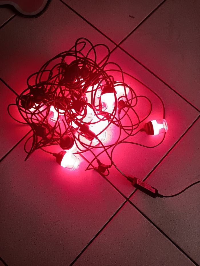 Guirlande intelligente neuve - photo numéro 4