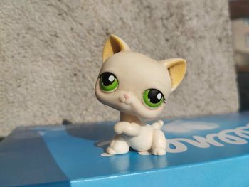 petshop chat