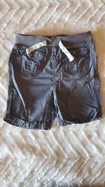 Short fin gris
