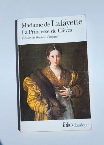 Livre Madame de Lafayette | La princesse des Clèves