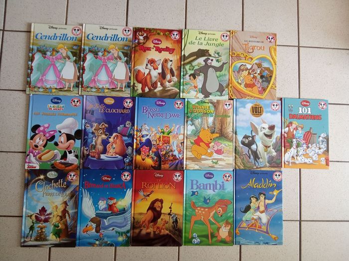 Livre mickey club du livre enfant, Disney,  roi  lion, cendrillon, , Aristochats, rox rouki, bianca, 101 dalmatiens , volt, livre jungle, winnie