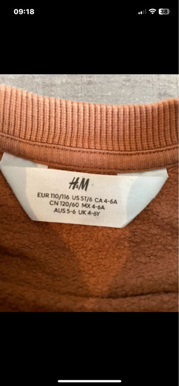 Sweat 6 ans - photo numéro 4