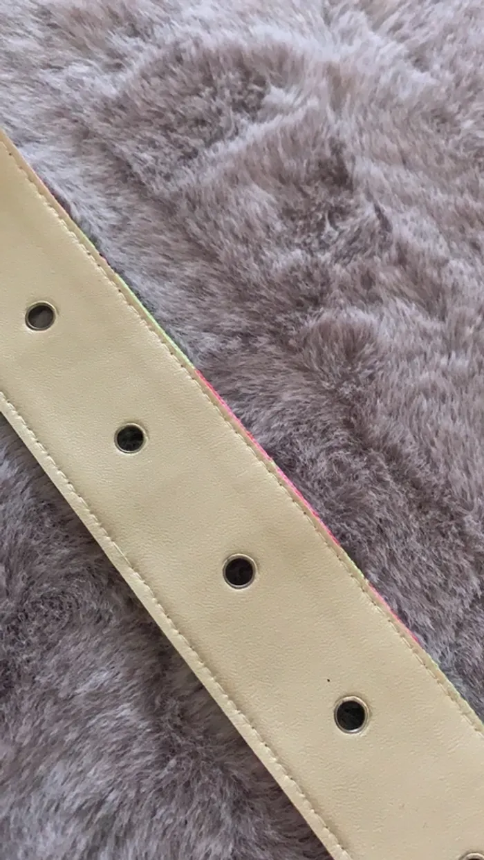 Ceinture neuve - photo numéro 5