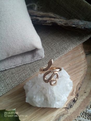 Bague serpent