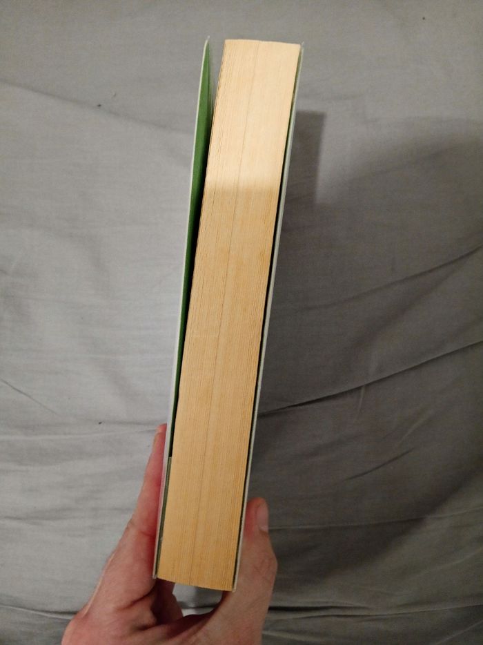 Livre (168) 📚 La merveilleuse boutique de crèmes glacées de Viviane - photo numéro 3