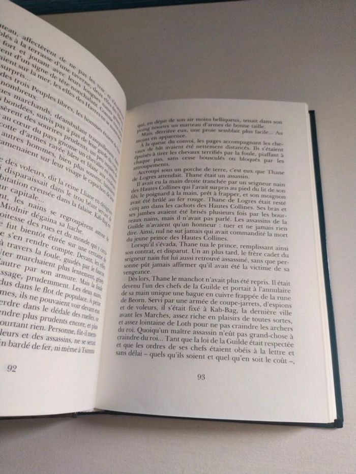 Le crépuscule des Elfes de Jean Louis Fetjaine - photo numéro 7