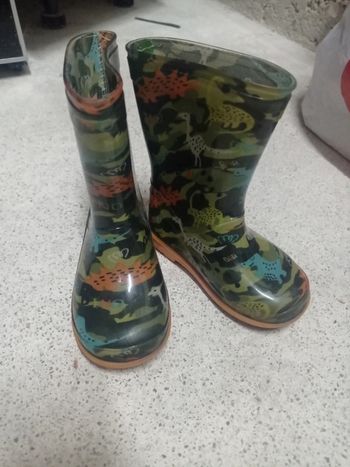 Bottes dinosaures
