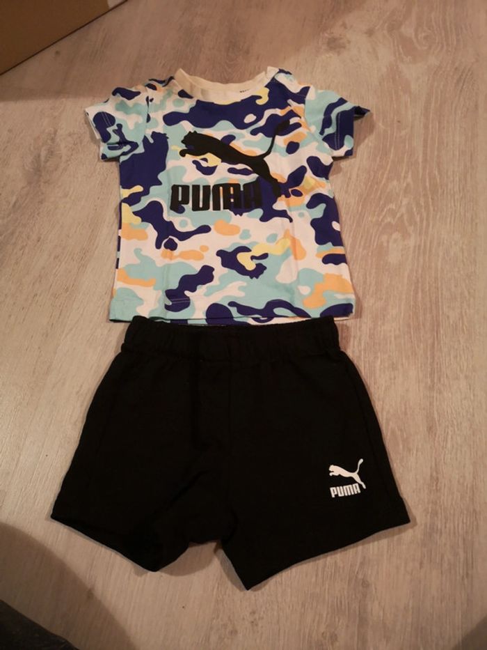 Ensemble puma