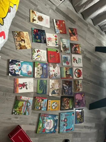 Lot de livres