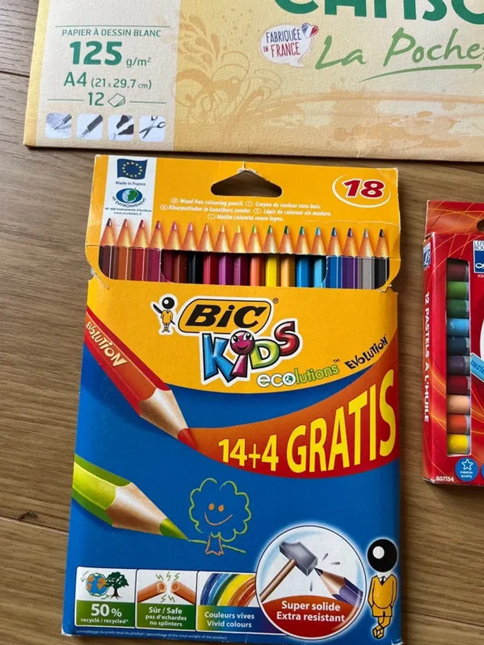 Papier Canson + crayon de couleur + pastels - photo numéro 3