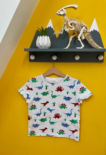 T-shirt famille de dinosauure Kiabi 6 ans