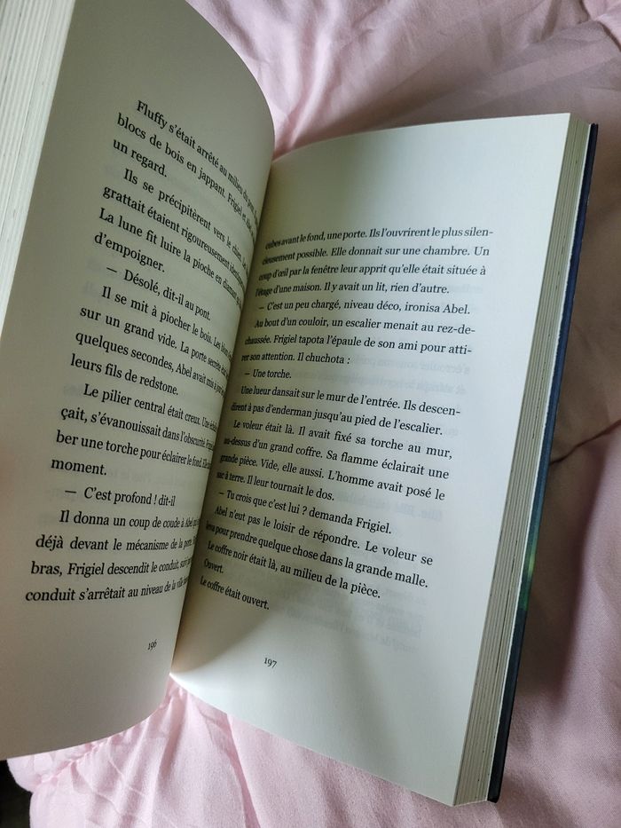 livre frigiel et fluffy le retour de l'ender dragon (7e) - photo numéro 2