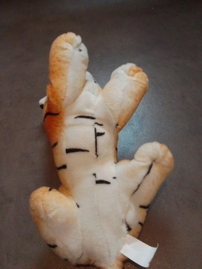 Tigre - photo numéro 4