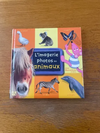 L’imagerie photos des animaux
