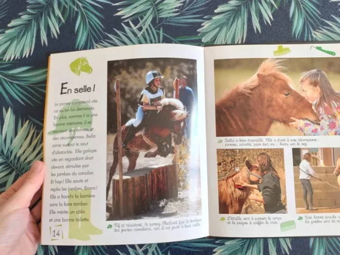 Livre enfant animaux, Le poney, tendre coquin - photo numéro 4