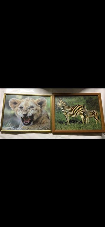 2 cadres décoration