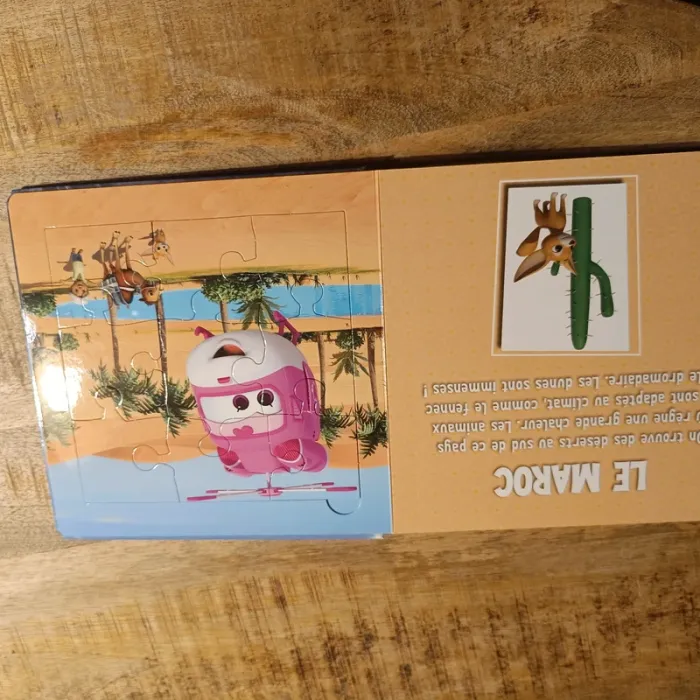 Livre puzzle super wings - photo numéro 8