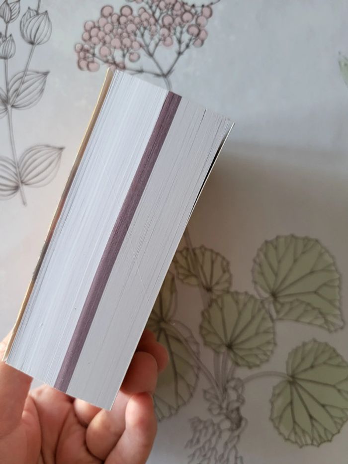 Dictionnaire espagnol Larousse - photo numéro 4