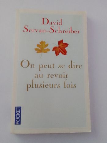 David Servan-Schreiber - On peut se dire au revoir plusieurs fois