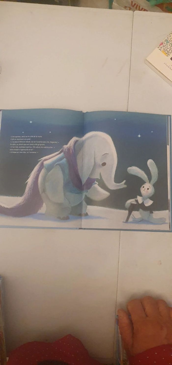 La longue marche des doudous - photo numéro 3