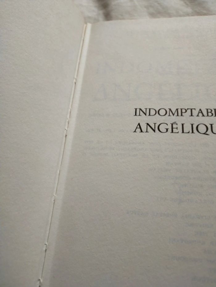 Indomptable Angélique de Anne et Serge Golon - photo numéro 3