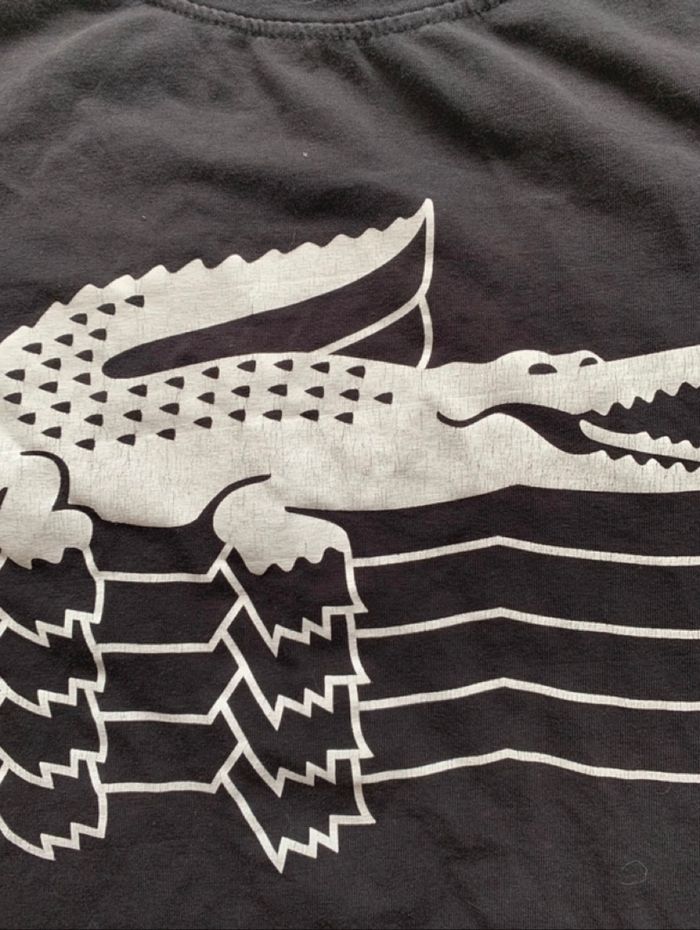 Teeshirt Lacoste - photo numéro 2