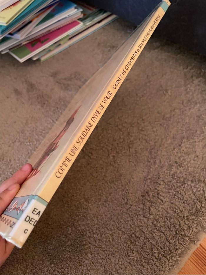 Livre - Comme une soudaine envie de voler - photo numéro 3